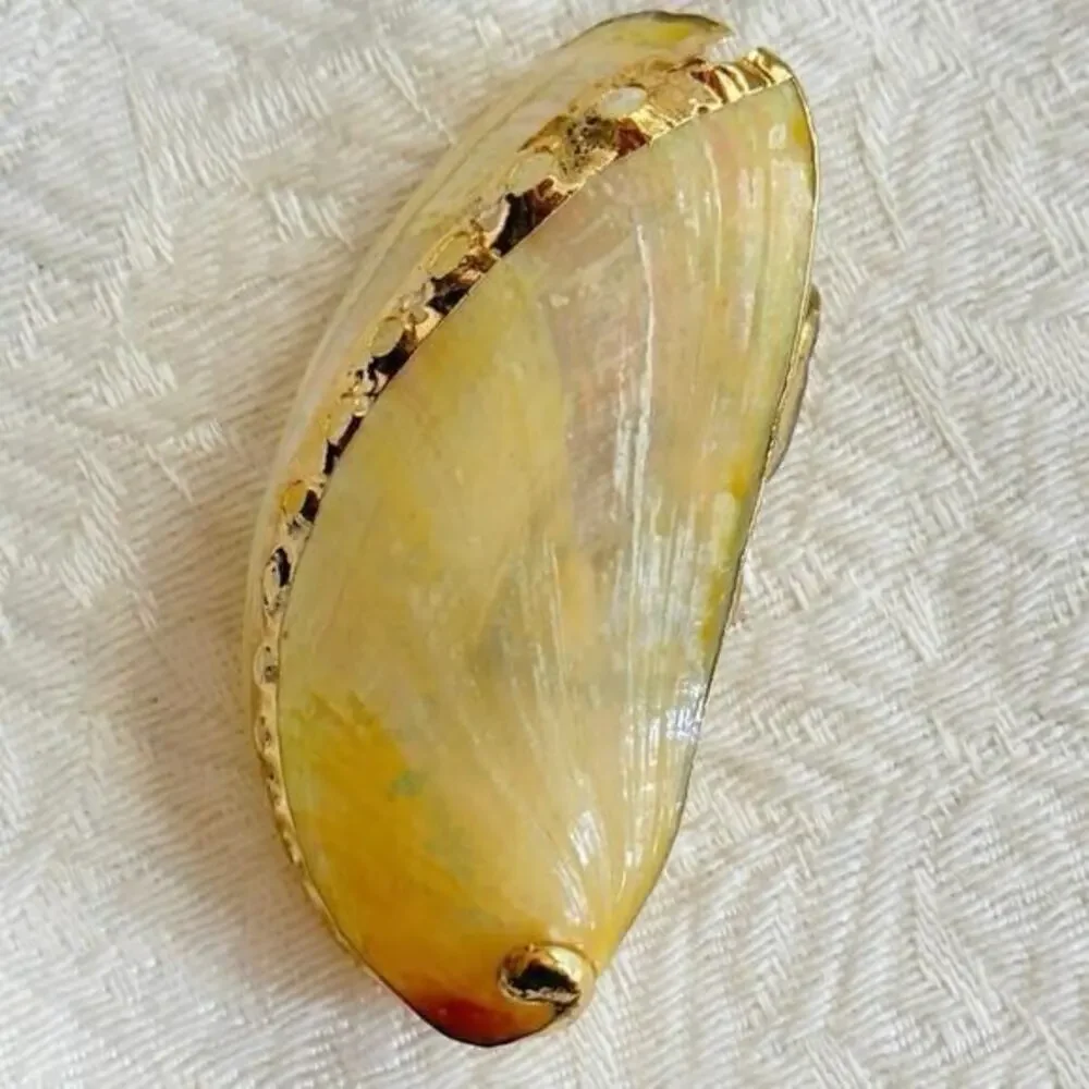 Gilded White Abalone Shell Scarf Slide Gold Painted Accents Shell Clip 1990’s